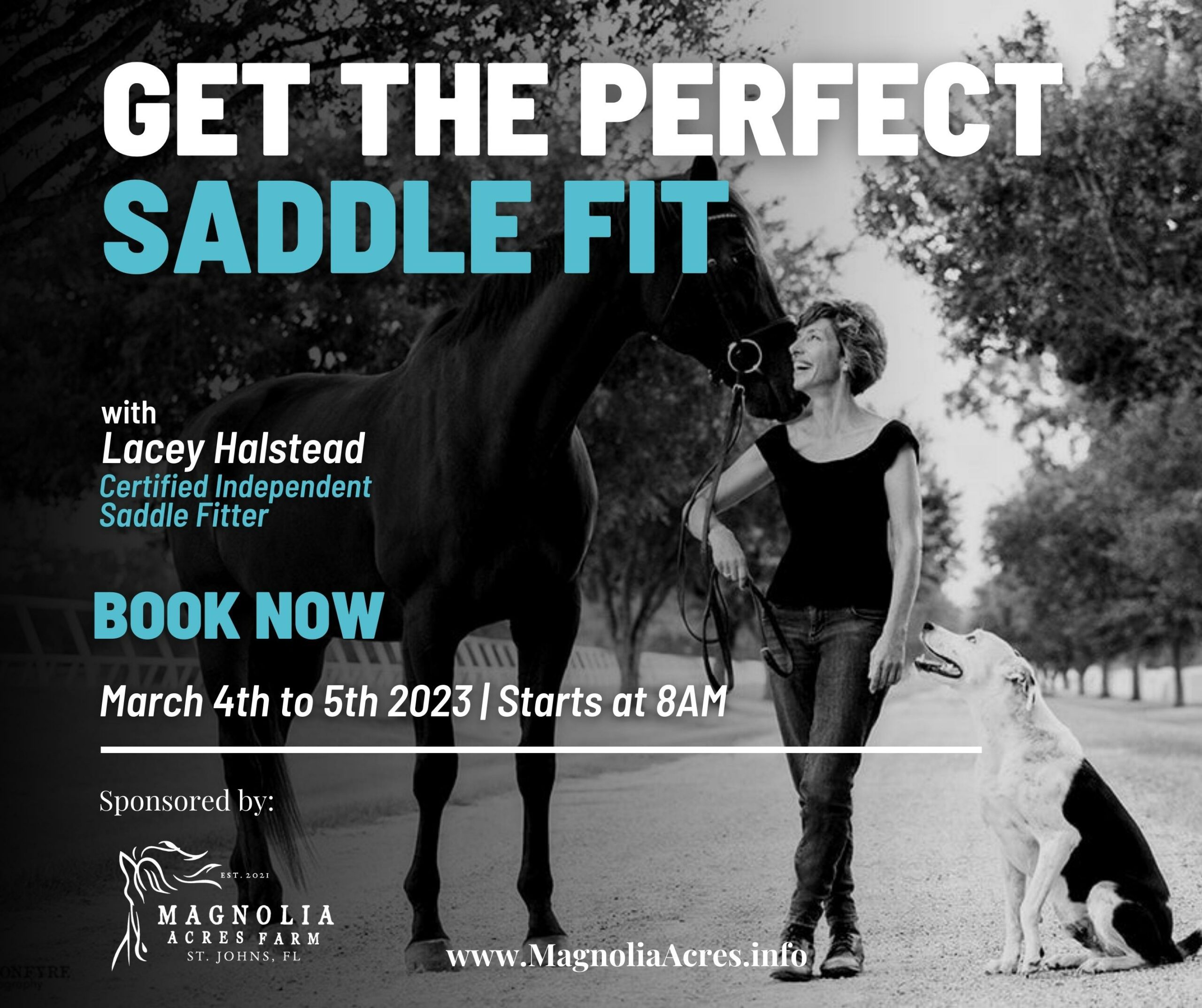 Get Perfect Saddle Fit - Concept 2 Design (3)