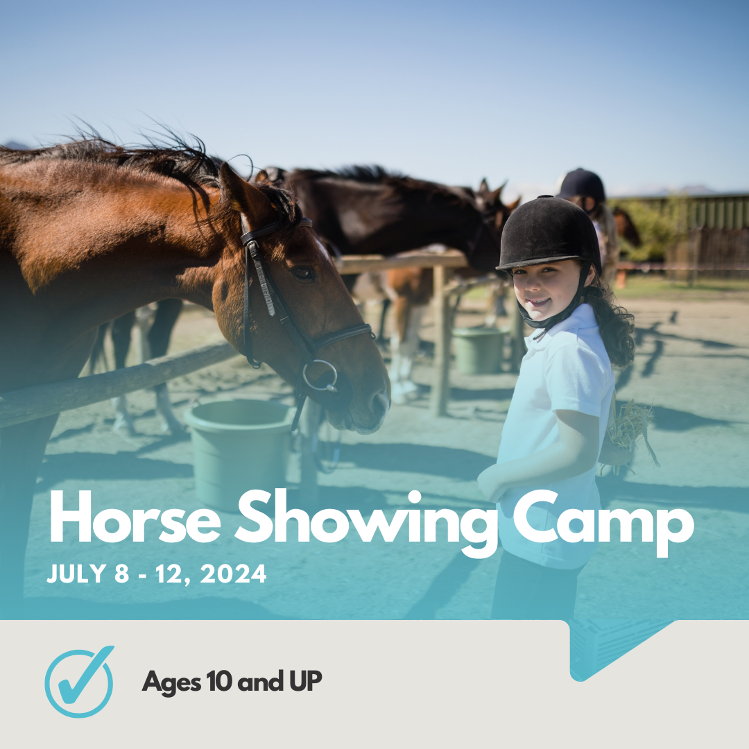 Horse Showing Camp | Ages 10 and UP | Some Riding Experience Needed | July 8-12, 2024