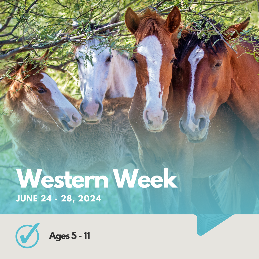 Western Week | Ages 5 - 11 | No Riding Experience Needed | June 24-28, 2024