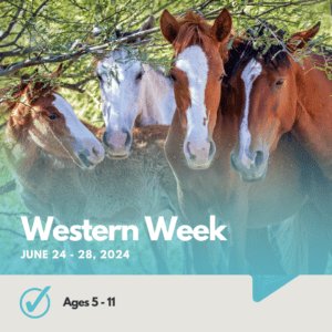 Western Week | Ages 5 - 11 | No Riding Experience Needed | June 24-28, 2024
